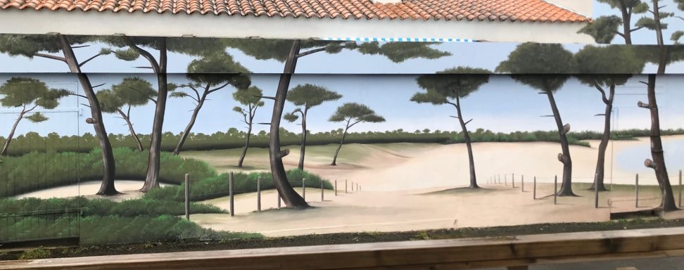 Paysage côtier avec des arbres et une plage, ciel clair en arrière-plan.